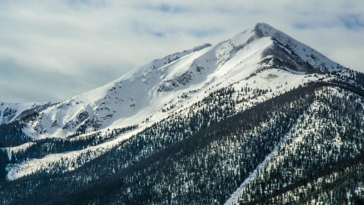 Pneus hiver ou 4 saisons : comment bien choisir avant les premières gelées